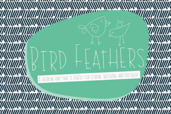 Bird Feathers: Elevating Design with Precision Typography