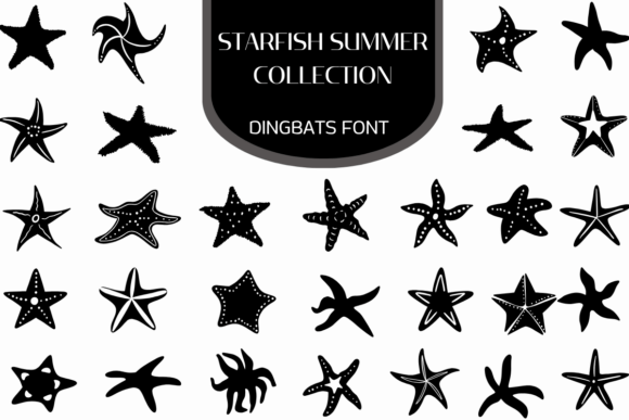 Starfish Summer Collection: Your Design Toolkit